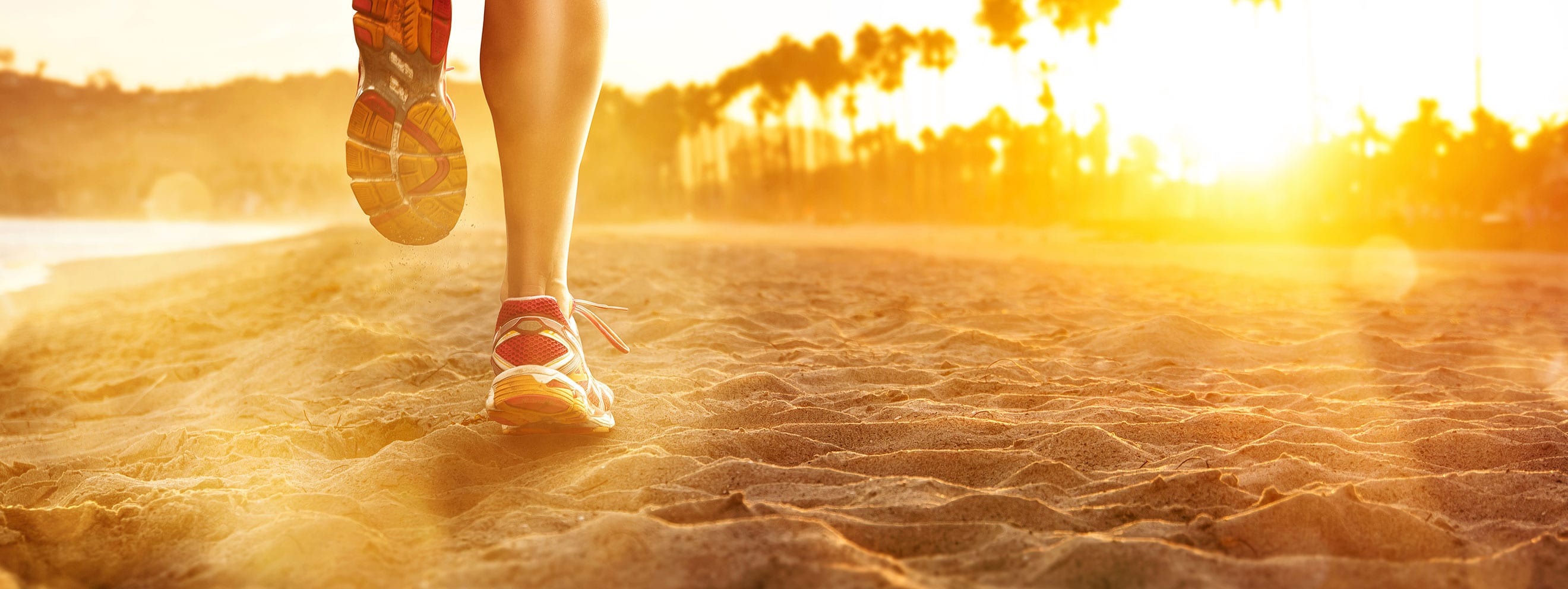 header-weight-fitness-2019-3